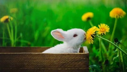 开云APP-Faker参与电竞体育运动员健康研究项目，faker在电竞圈什么地位