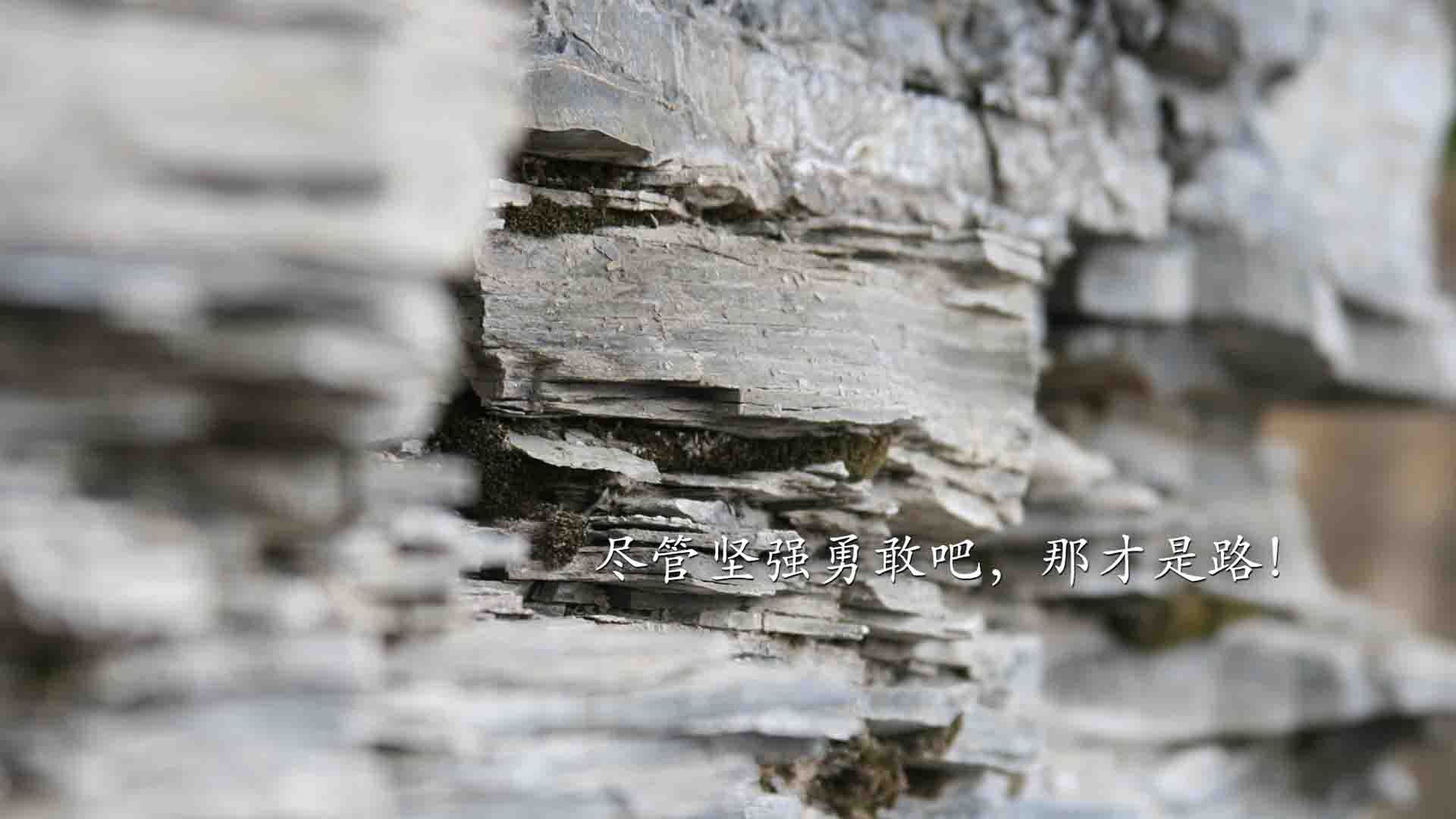 【顶级运动员训练揭秘】丁俊晖每日训练内容全公开，丁俊晖是怎么训练的
