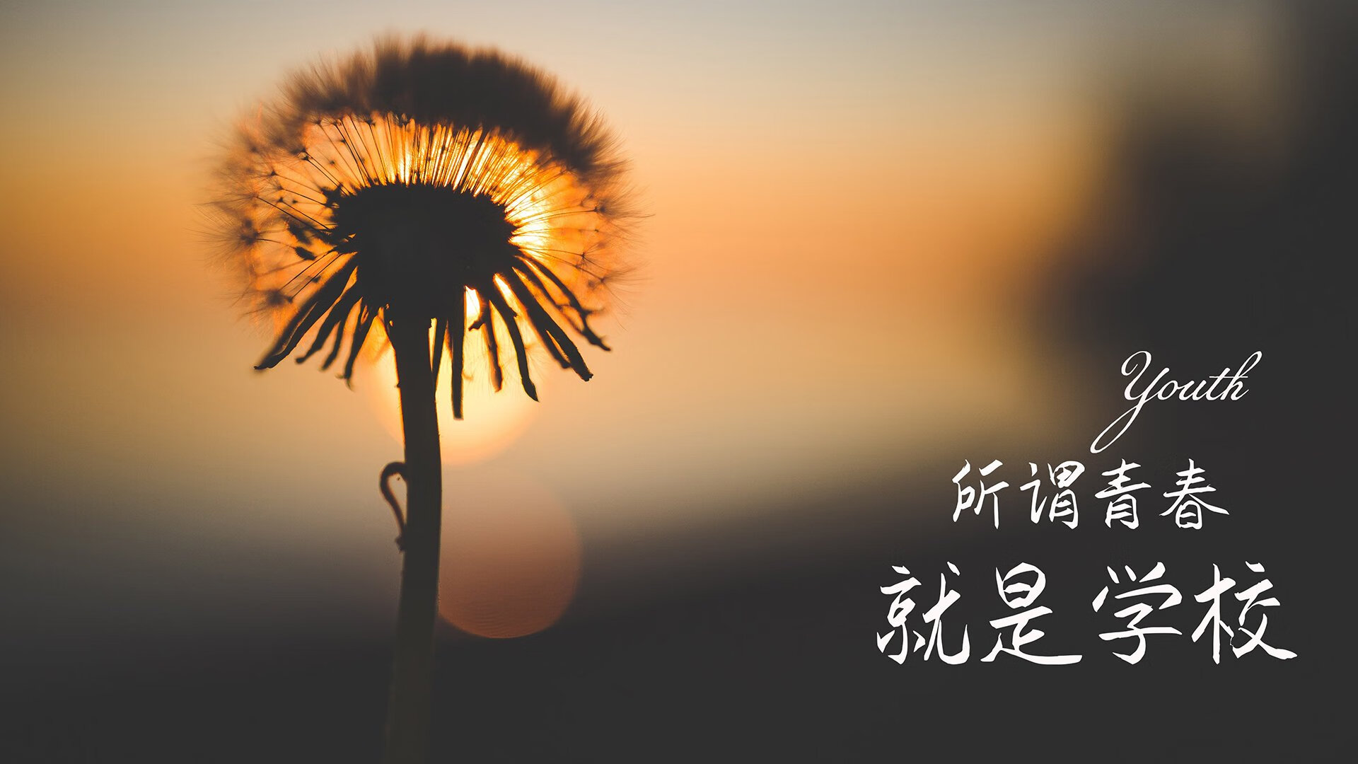 骑士年轻中锋伤愈回归，内线防守再添保障，骑士现役队员