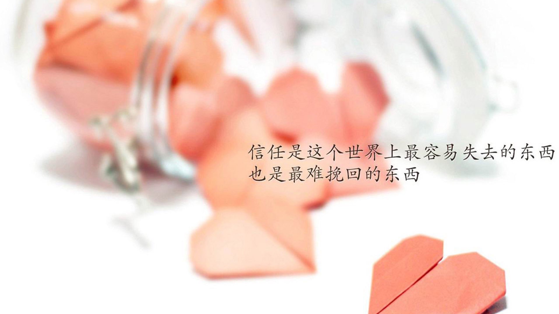 威廉姆斯在决赛中击败荷兰选手桑妮·范·代克，范妮莎威廉姆斯