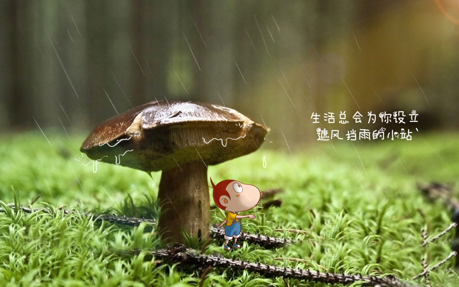 赫塔菲雄心勃发，力克劲敌取得胜利，赫塔菲ued