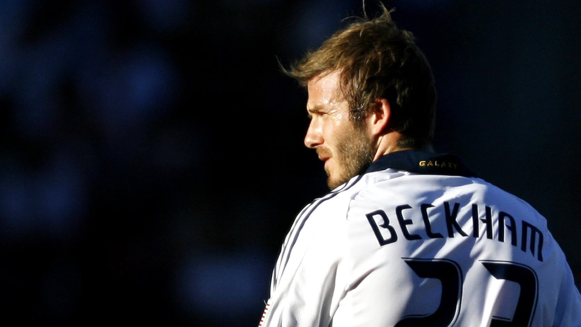 _野生动植物保护跑：运动与环保双赢_，野生动植物保护宣传海报